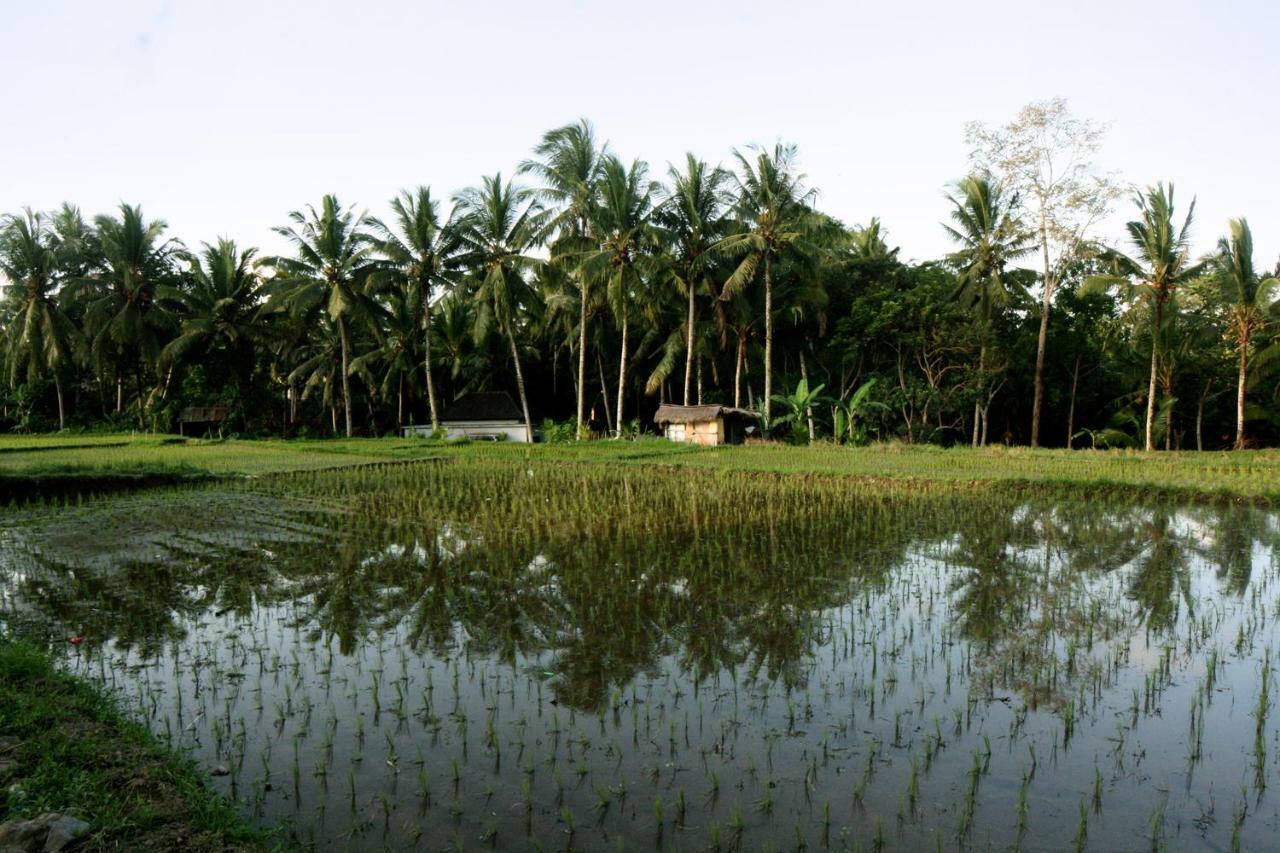 Artist Eco Villa In Ubud Bali Exterior foto